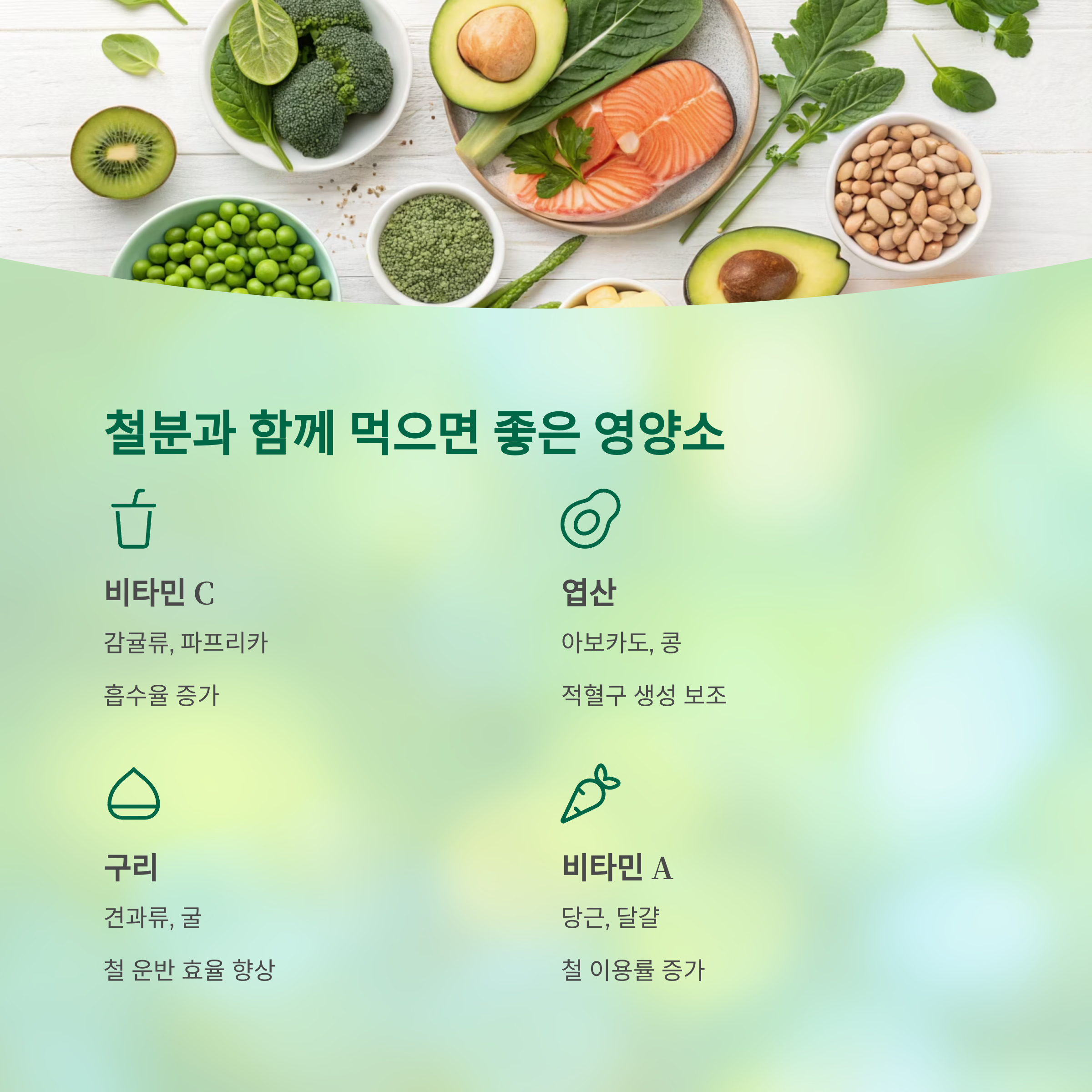빈혈을 2주 만에 개선한 철분 식품 조합, 숨겨진 비밀 공개 - 빈혈을 빠르게 개선하려면 어떤 음식을 어떻게 조합해야 할까요? - 모든 영역 빈혈을 2주 만에 개선한 철분 식품 조합, 숨겨진 비밀 공개 - 빈혈을 빠르게 개선하려면 어떤 음식을 어떻게 조합해야 할까요? - 모든 영역