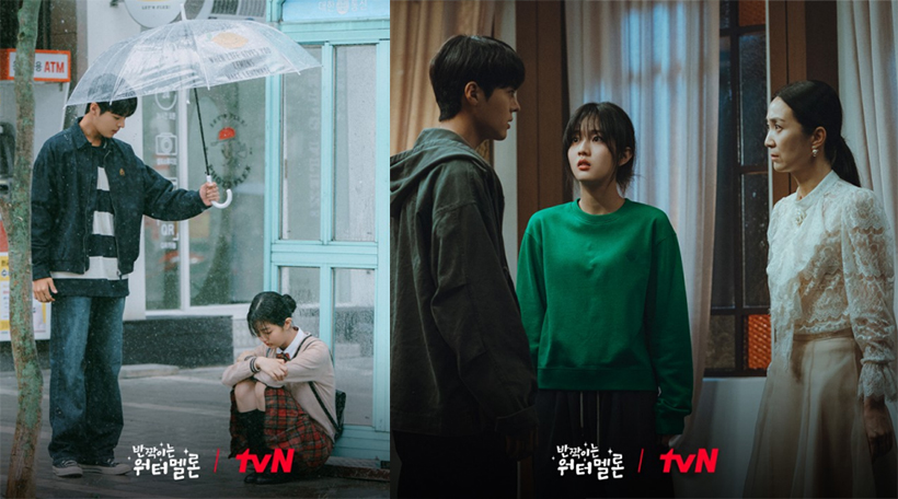 반짝이는-워터멜론-스틸컷12