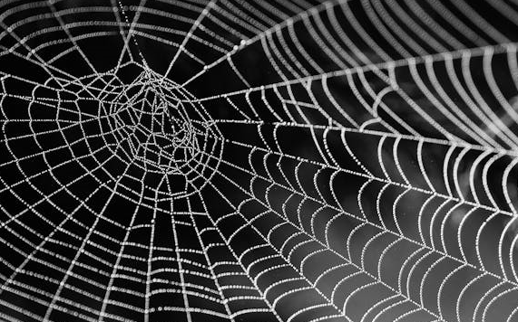 거미의 먹이 사냥 구조를 본뜬 자원 순환형 도시 경제 모델