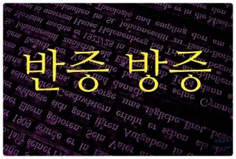 반증 방증 뜻 차이 맞춤법 한자_20