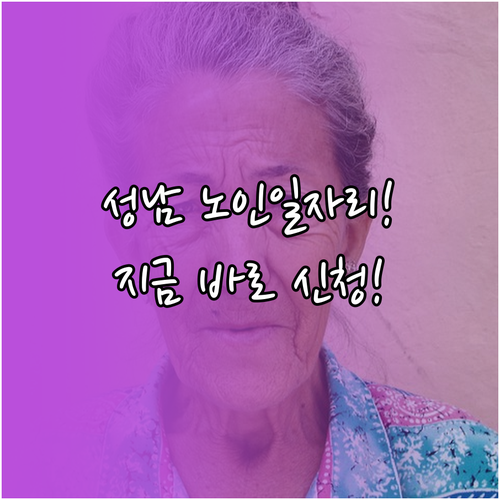 성남 중원구 시니어클럽 노인 일자리 ..