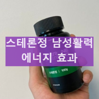 스테론정 아연 전립선 효과 남성 활력 복용 후기 부작용 후기 총정리