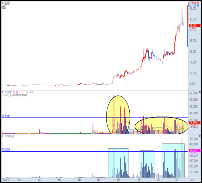 금양 일봉 차트