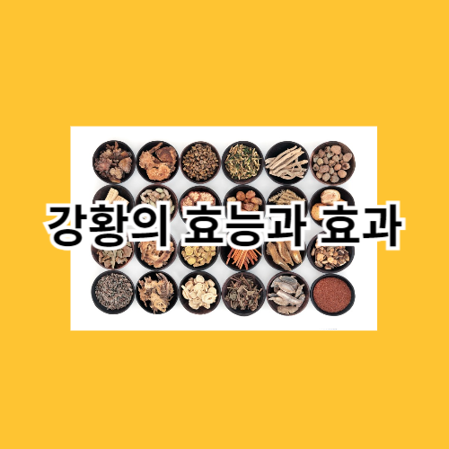 강황의-효능과-효과