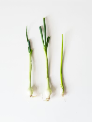 임신 초기부터 후기까지: 쑥 섭취 가이드 및 자궁 건강을 지키는 올바른 식습관