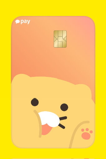 페이머니체크카드