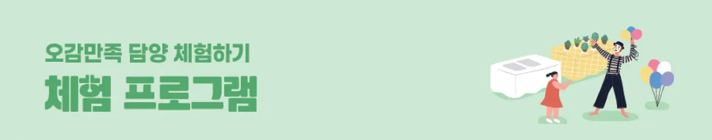 담양 대나무축제 주차장, 프로그램