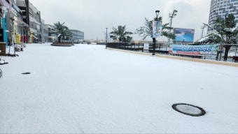 거북섬 스케이트장 이용 요금 및 할인 혜택 정리
