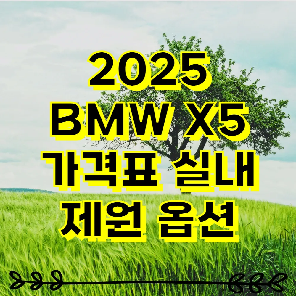 2025 BMW X5 가격표 실내 제원 옵션