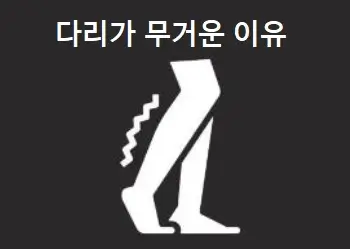 다리가 무거운 이유