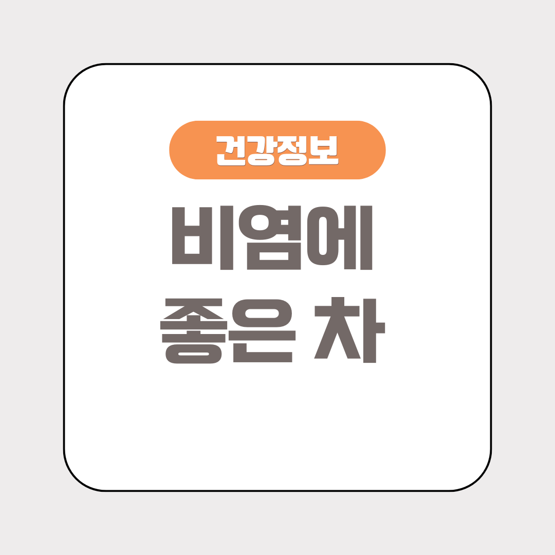 비염에 좋은 차 종류 및 효능