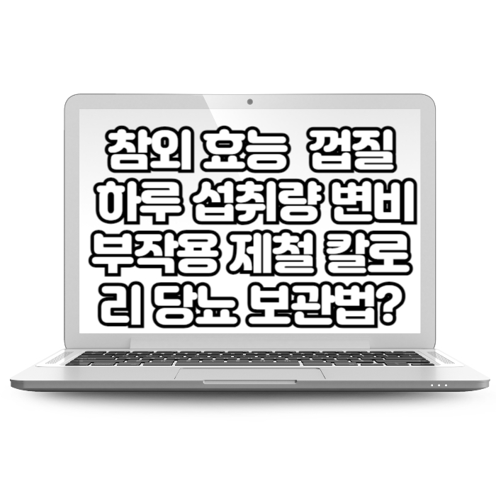 참외 효능 먹으면 안되는 사람 껍질 하루 섭취량 변비 부작용 제철 칼로리 당뇨 보관법 영양성분 참외씨 먹어도 되나요