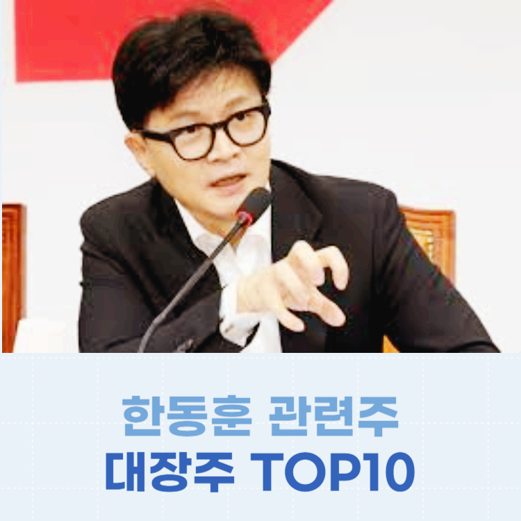 한동훈 관련주 대장주 계엄령 관련주 TOP10