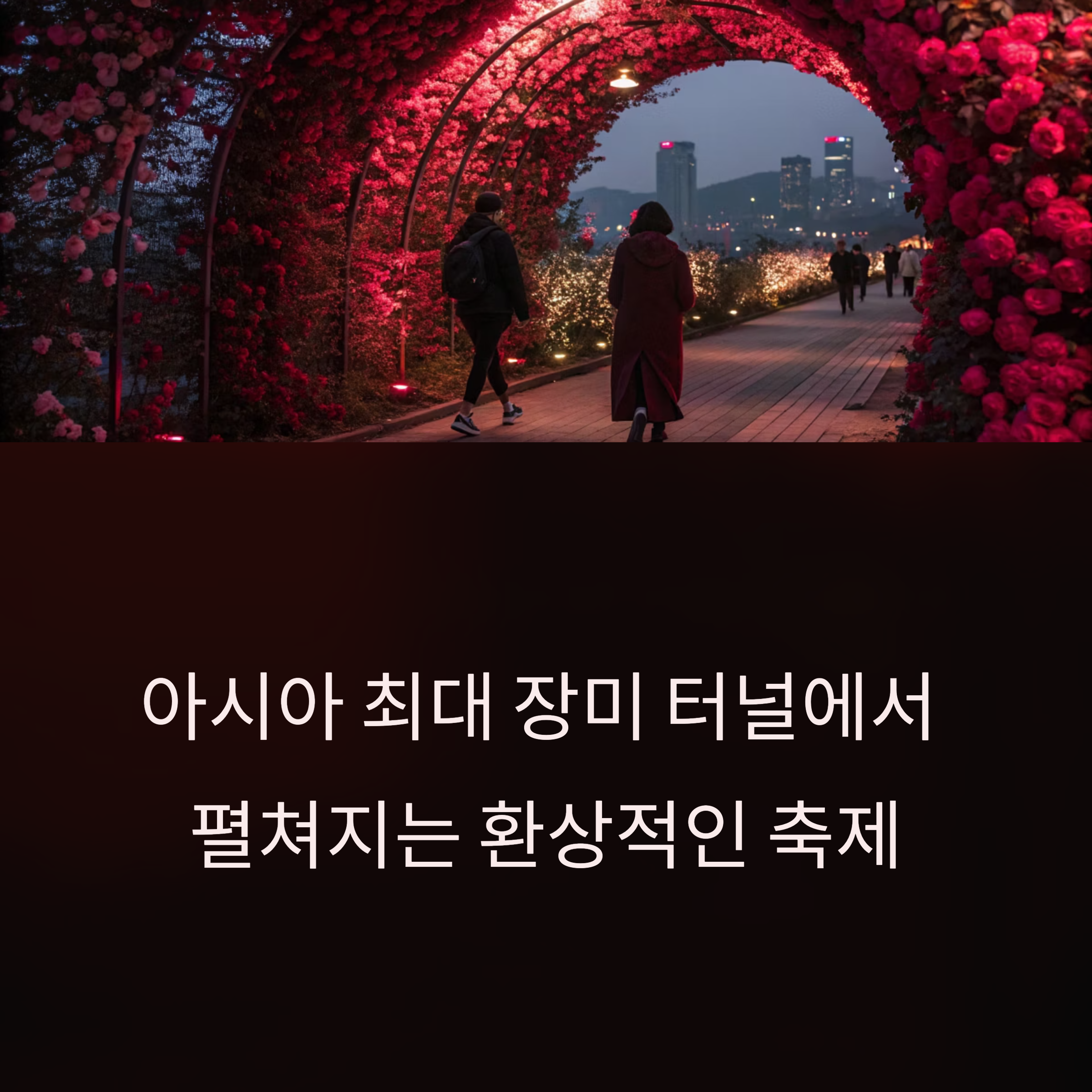 서울장미축제