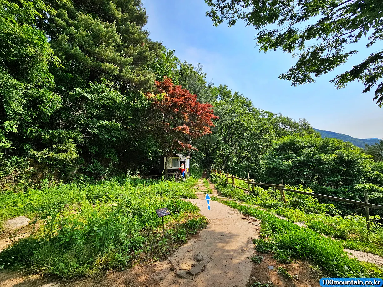 이화령 등산로 입구