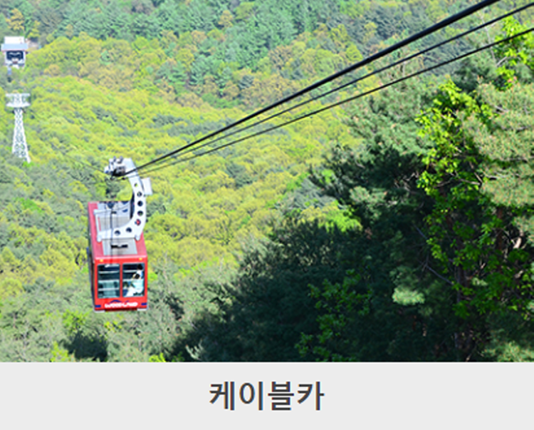 대구 앞산 등산코스