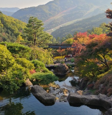 2024화담숲 가을단풍축제