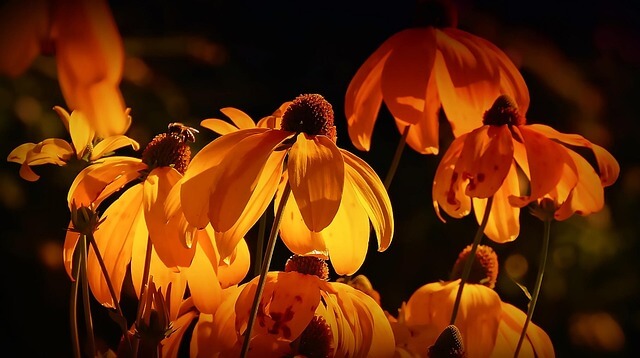 2025 울산불꽃축제 연기 날짜 및 일정