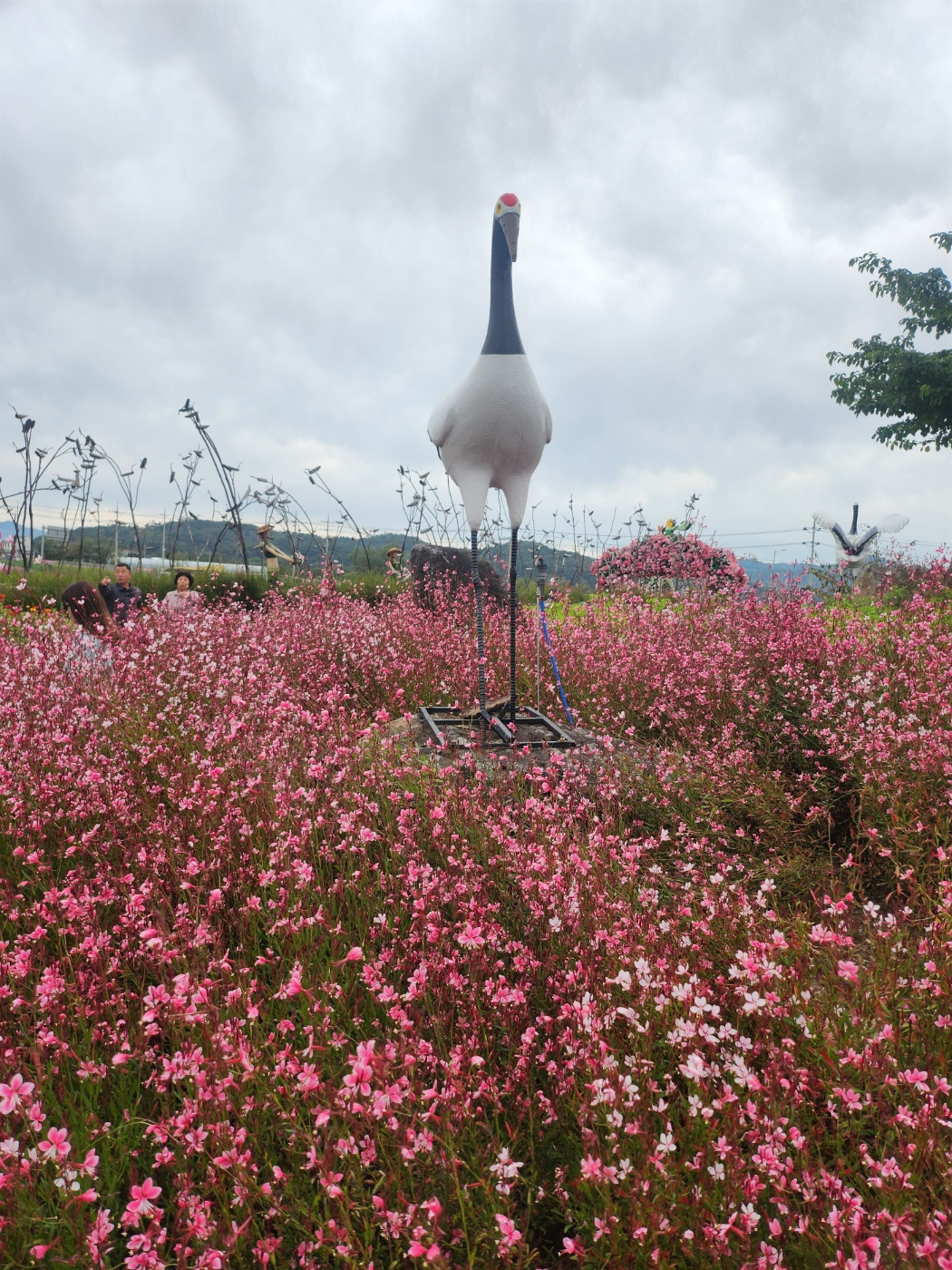 고석정꽃밭축제