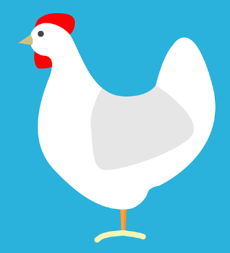 띠별 내일의운세