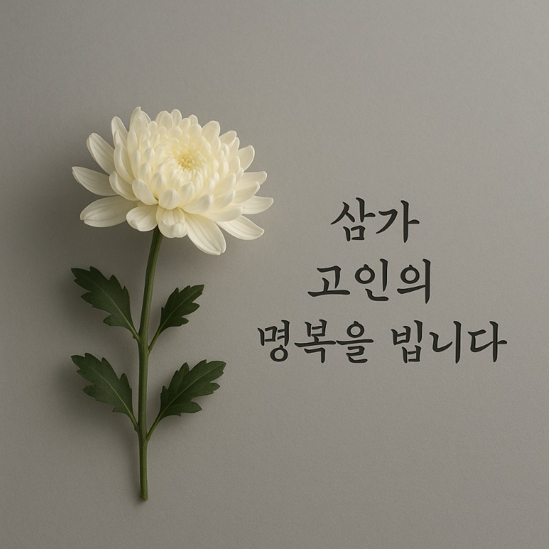 조문 위로 문자 이미지