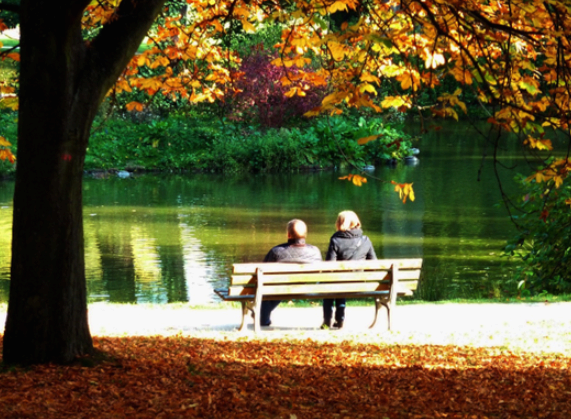 중년의 남녀 (픽사베이. 무료 상업적 이용가능 이미지) 
* 출처 : https://pixabay.com/ko/photos/%EB%8B%A8%ED%92%8D%EC%9E%8E-%EB%84%88%EB%8F%84%EB%B0%A4%EB%82%98%EB%AC%B4-%EC%9E%8E-%EB%8B%A8%ED%92%8D-986540/