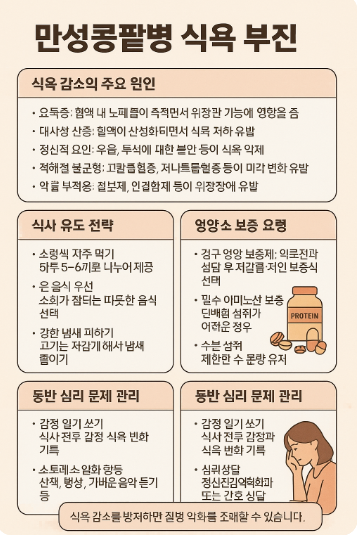 만성콩팥병 환자의 식욕 부진 원인과 회복을 위한 식사 전략