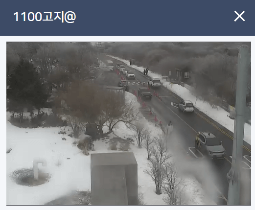 실시간 날씨 cctv