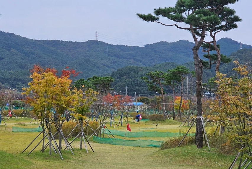 전라북도 고창 스포츠타운 파크골프장