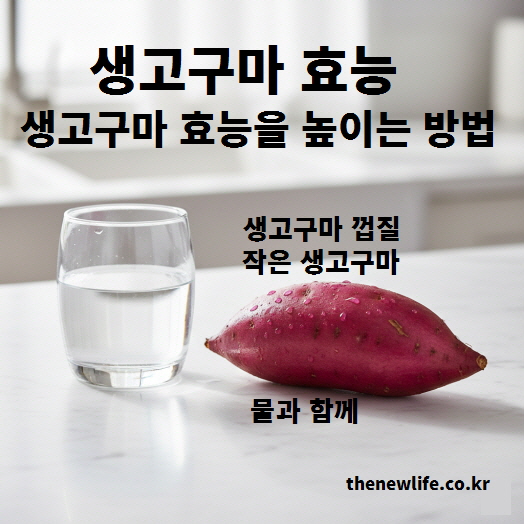 생고구마 효능을 높이기 위한 섭취 방법을 보여주는 고구마와 물 사진