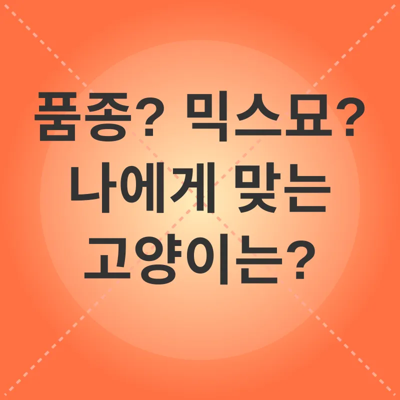 고양이 입양_2