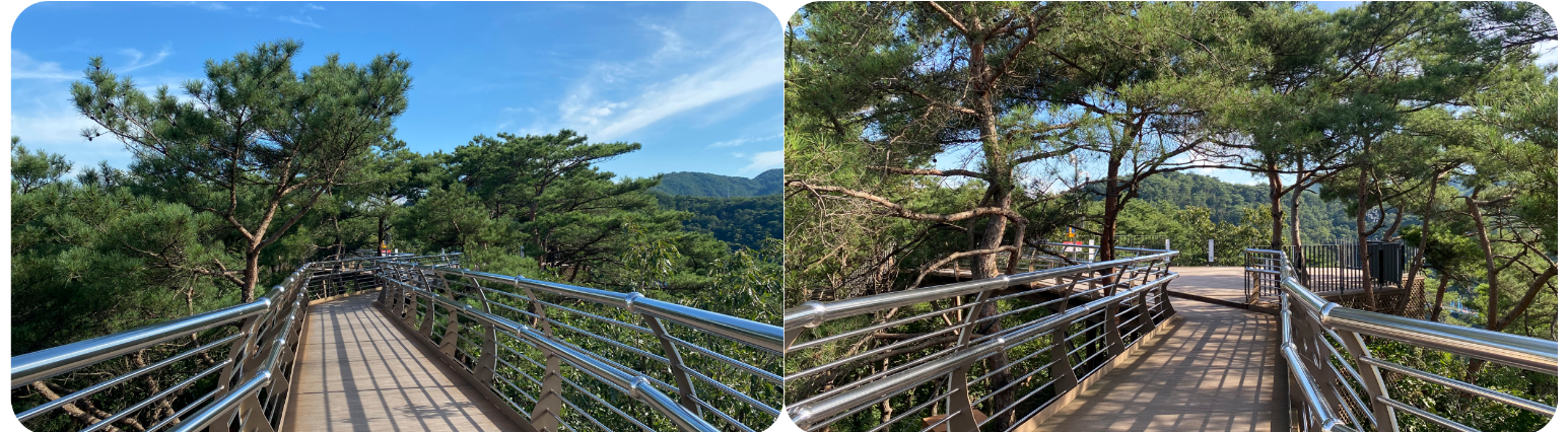 강원도 원주 가볼만한 곳: 소금산 그랜드밸리 출렁다리