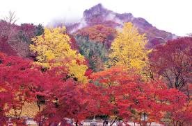 오색약수 설악산 단풍 