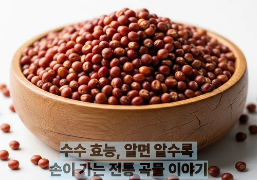 수수 효능, 알면 알수록 손이 가는 전통 곡물 이야기