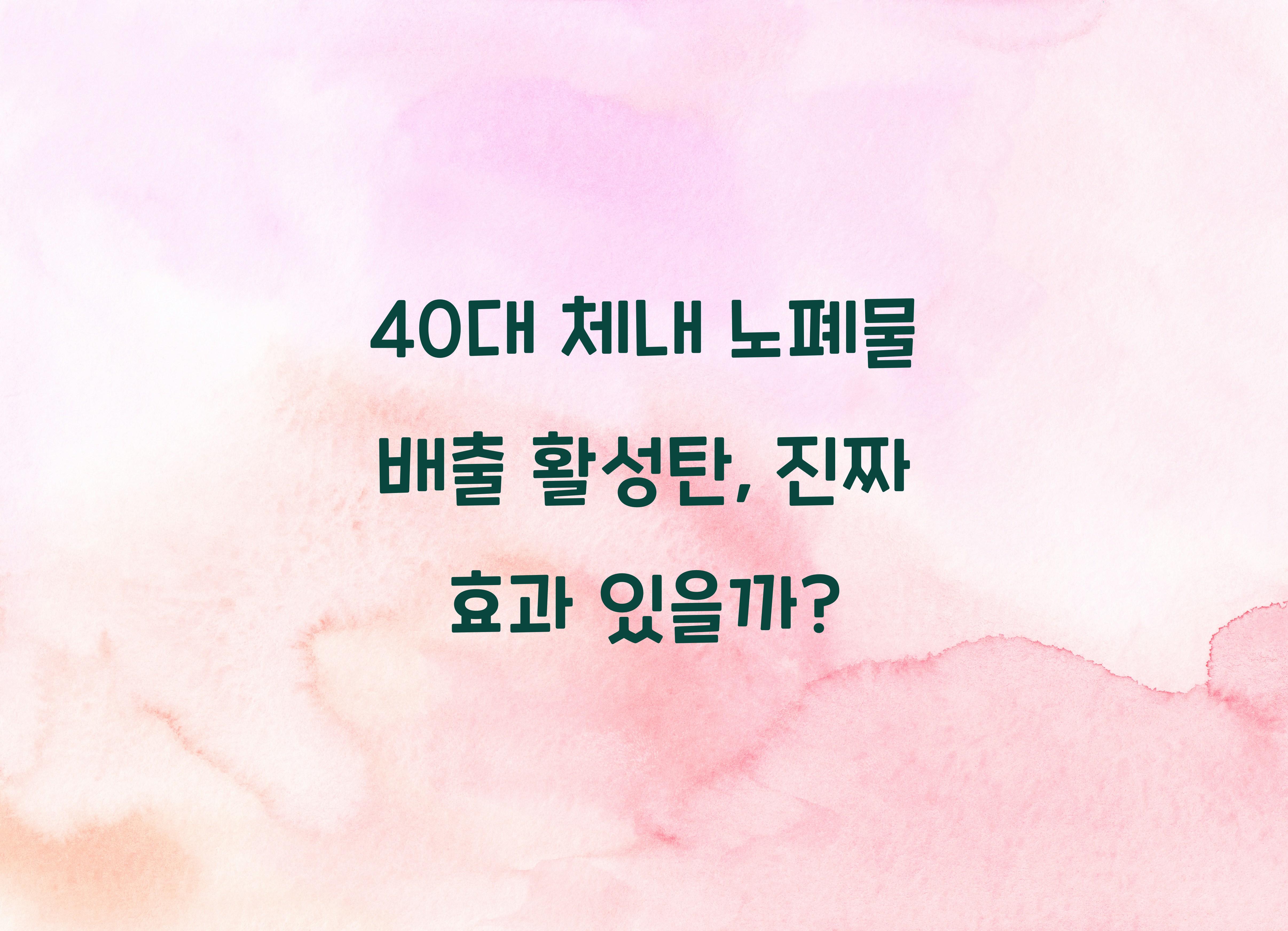 40대 체내 노폐물 배출 활성탄
