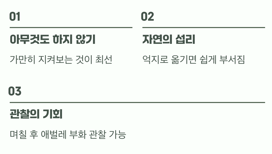 그렇다면 이제 어떻게 해야 할까요?