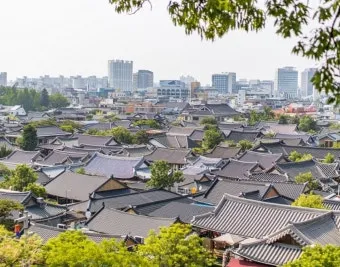 전주 근교 가볼만한곳 완주 벚꽃 명소 맛집_3