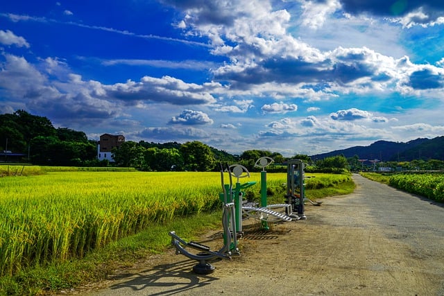 지역사회 자원을 활용한 건강한 생활방법을 유지하는법