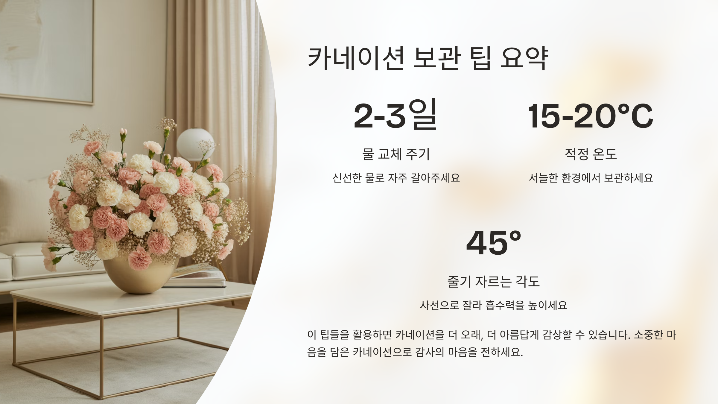 카네이션 보관 법 요약 설명 이미지