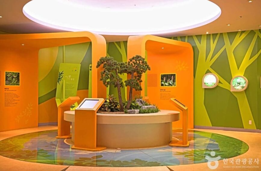 영월 가볼만한곳 베스트 10