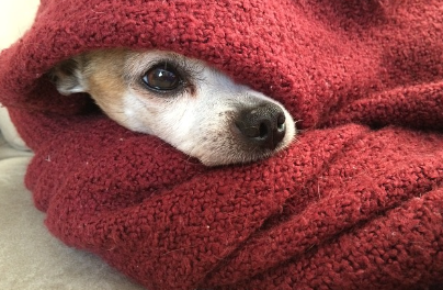 2024 서울 세계 불꽃축제 명당 및 골든티켓 응모하기와 관련하여 축제 당일 준비해야하는 물품인 담요 사진