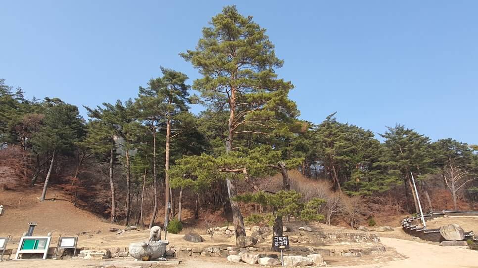 영월 법흥사 : 부처님의 진신사리를 품은 평온한 안식처 천년 고찰의 숨결을 간직한 영월 법흥사