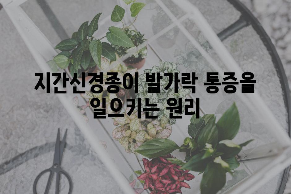 지간신경종이 발가락 통증을 일으키는 원리