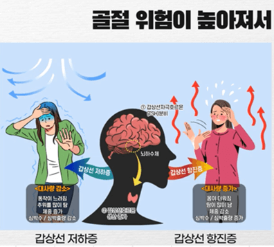 골다공증 검사 비용