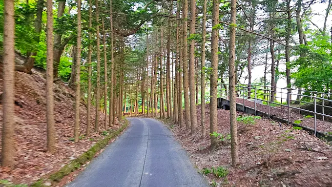 경기도 용인 양지파인CC 골프장 소개 및 예약방법