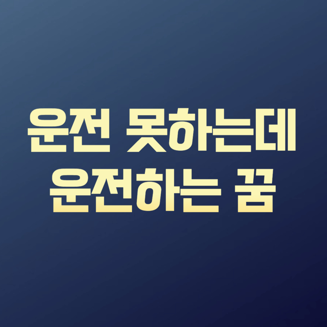 운전 못하는데 운전하는 꿈