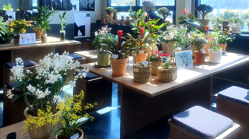 특색있고 아름다운 민간 정원 30선 추천 여행 - 25. 통영 동백커피식물원