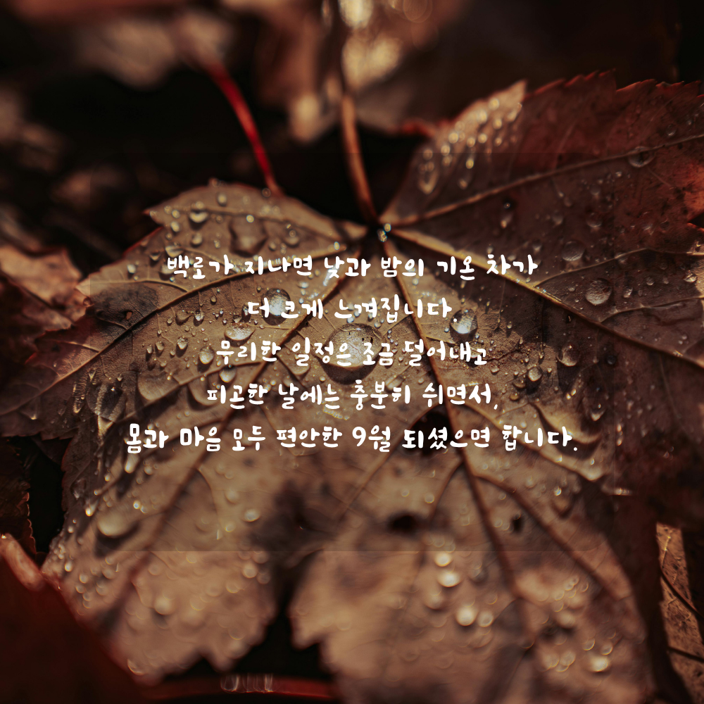 9월 백로 인사말 - 큰 일교차와 건강 관리