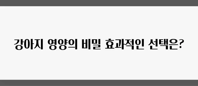 강아지를 기르는 요령: 사료와 간식에 대한 모든 정보를 알아보세요!