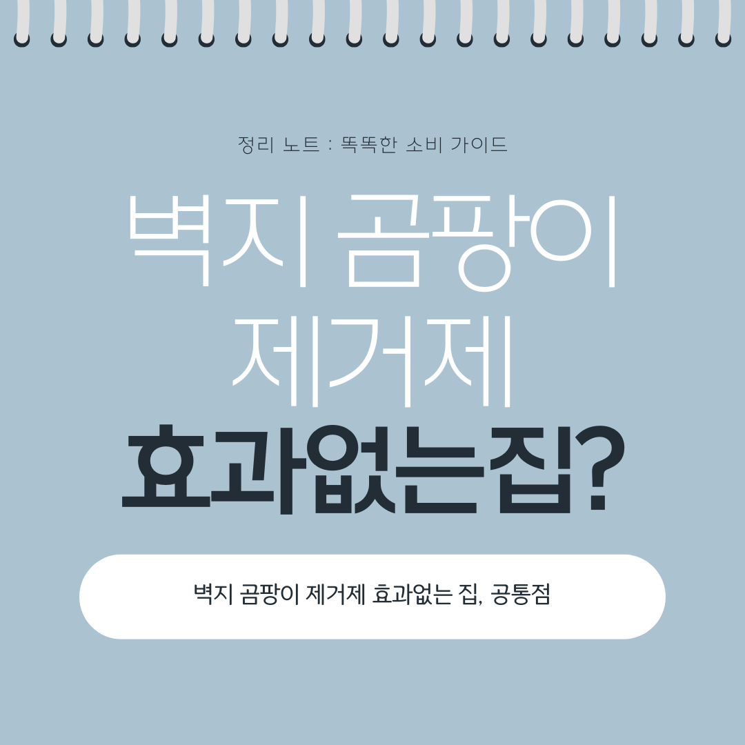 벽지 곰팡이 제거제를 써도 효과 없는 집의 공통점을 설명하는 이미지